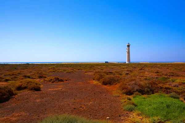 Morro Jable Terras Húmidas Matorrais Jandia em Pajara — Fotografia de Stock