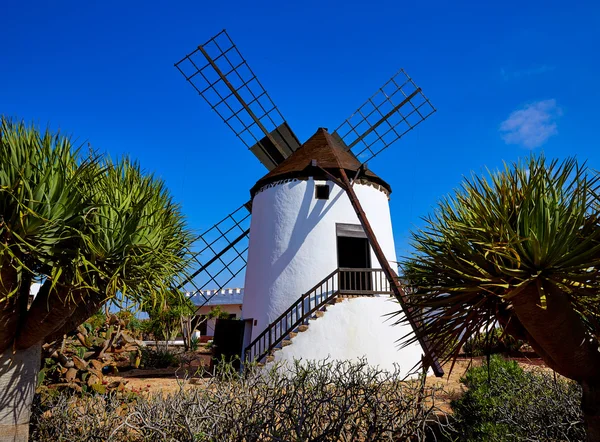 Mulino a vento Antigua Fuerteventura alle Isole Canarie — Foto Stock