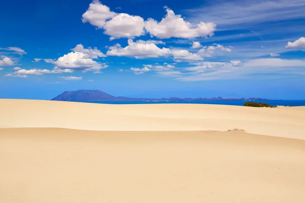 Έρημο νησί Φουερτεβεντούρα αμμόλοφους Corralejo — Φωτογραφία Αρχείου