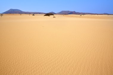Corralejo dunes Fuerteventura ada çöl