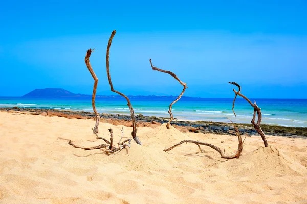 Playa de Corralejo Fuerteventura en Canarias —  Fotos de Stock