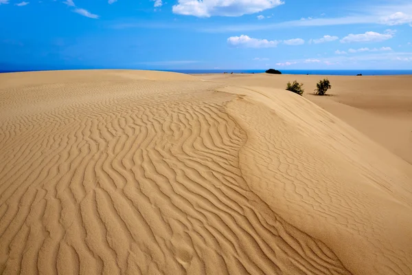 Dunas do Corralejo Deserto da ilha de Fuerteventura — Fotografia de Stock