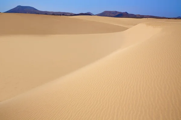 Corralejo dünen fuerteventura insel wüste — Stockfoto