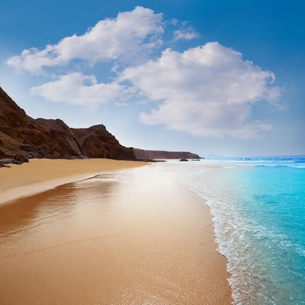 Fuerteventura La jämfört beach på Kanarieöarna — Stockfoto