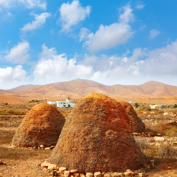 Majorero haystack or straw storage pajero — Stock Photo, Image