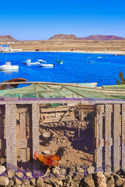 Majanicho v Fuerteventura Kanárské ostrovy — Stock fotografie