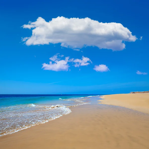 Morro Jable Matorral pláže Jandia Fuerteventura — Stock fotografie