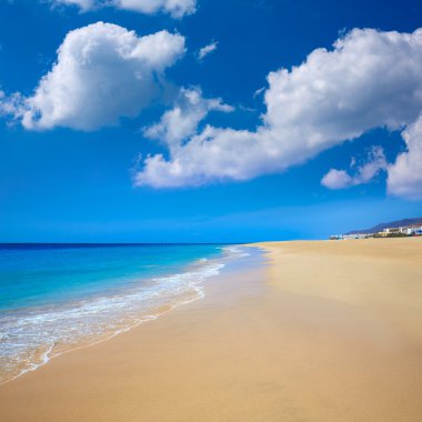 Yarın Jable Matorral beach Jandia Fuerteventura