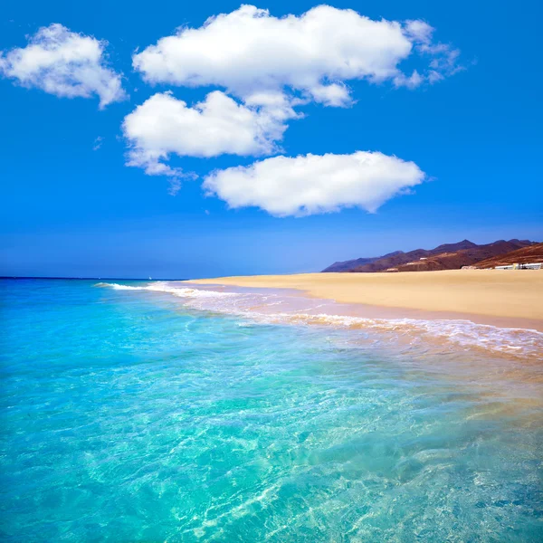 Morro Jable Matorral beach Jandia Fuerteventura — Stock Fotó