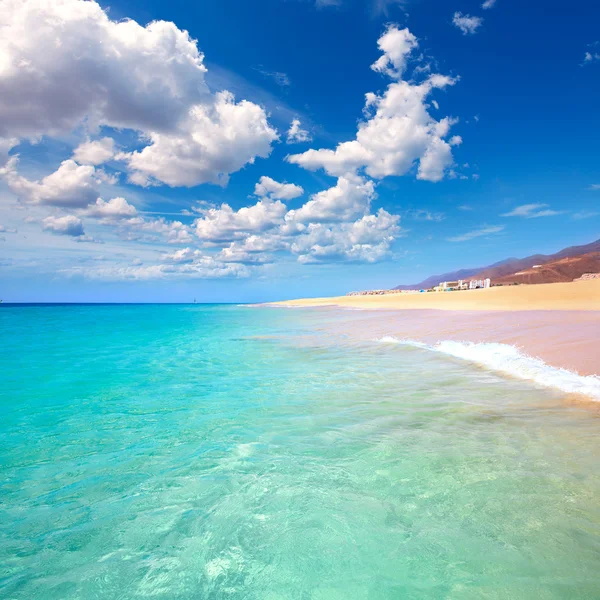 Yarın Jable Matorral beach Jandia Fuerteventura — Stok fotoğraf