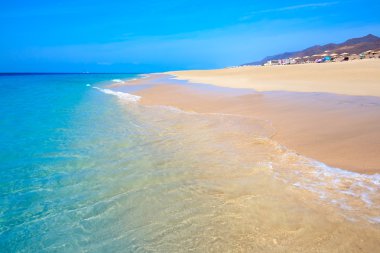 Yarın Jable Matorral beach Jandia Fuerteventura