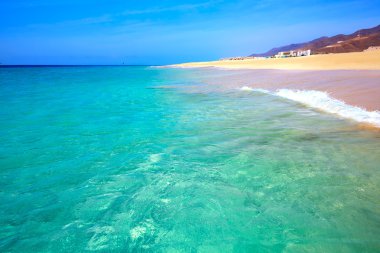 Yarın Jable Matorral beach Jandia Fuerteventura