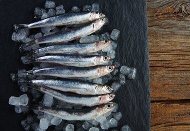 Anchovies fresh fishes on ice clipart