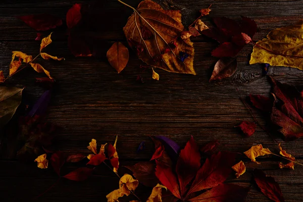 Hösten mörka torkade färgglada löv och blommor — Stockfoto