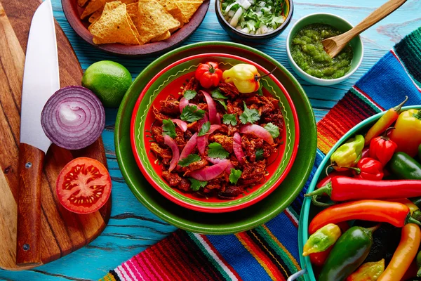 Cochinita Pibil Comida mexicana con cebolla roja —  Fotos de Stock