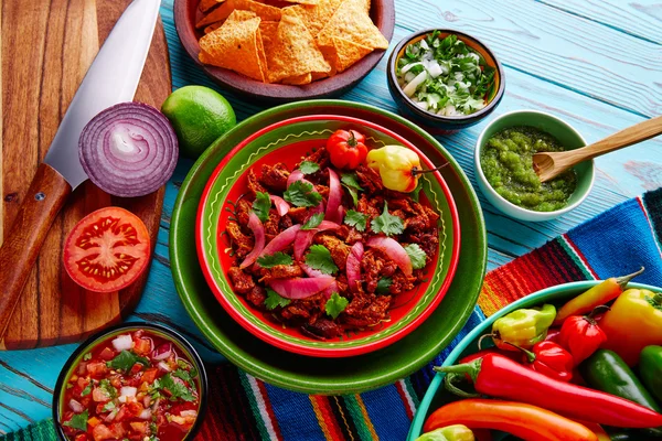Cochinita Pibil Mexicaans eten met rode ui — Stockfoto