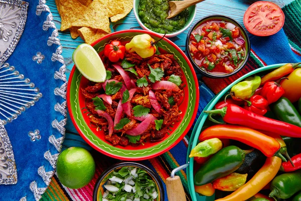 Cochinita Pibil comida mexicana com cebola vermelha — Fotografia de Stock