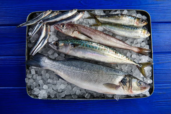 Fresh fish hake seabass sardine mackerel anchovies — Stock Photo, Image