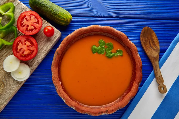 西班牙凉菜汤乌兰番茄汤和蔬菜 — 图库照片