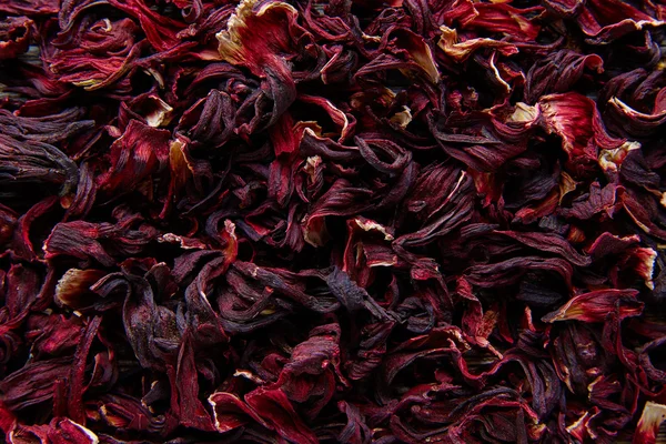 Jamaïque fleur pour tisane glacée de hibiscus — Photo