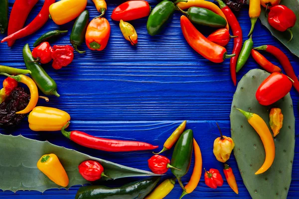 Mexicaanse hete chilipepers kleurrijke mix — Stockfoto