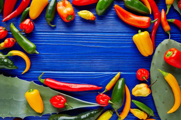 Mexicaanse hete chilipepers kleurrijke mix — Stockfoto