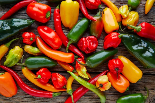 Mexicaanse hete chilipepers kleurrijke mix — Stockfoto