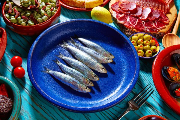 Tapas from spain mix of most popular recipes — Stock Photo, Image