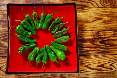 Tapas gizemli del Padron yeşil biber