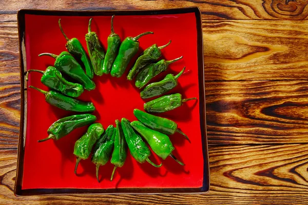 Tapas pimientos del Padrón zelené papriky — Stock fotografie