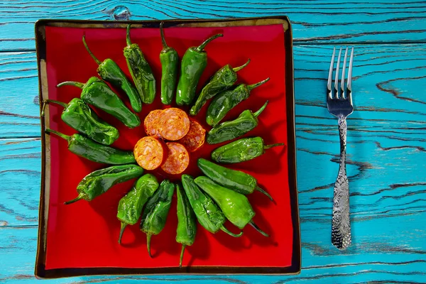 Tapas pimientos del Padrón pimientos verdes — Foto de Stock