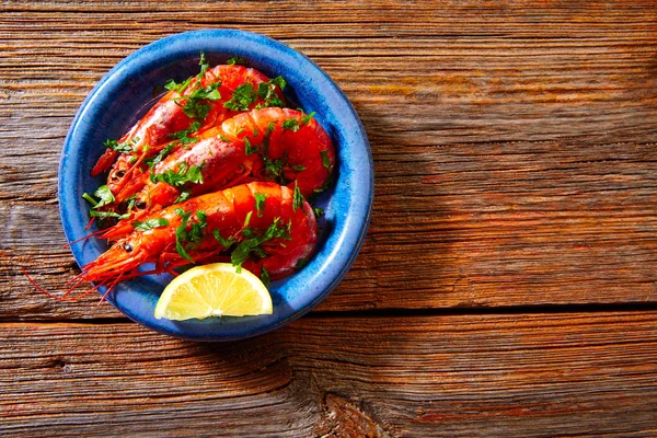 Tapas udang udang udang laut dari Spanyol — Stok Foto