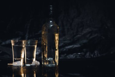 Votka. Shot, buzlu votka bardakları. Esmer arka plan. Boşluğu Kopyala Seçici odak