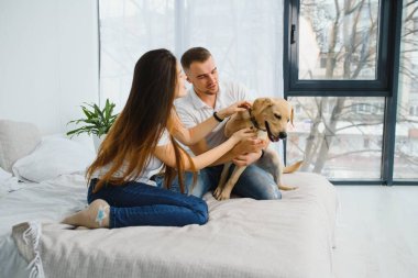 Evde köpeği olan genç bir çift. Genç bir adam ve bir kadın evde köpekle oynuyorlar..