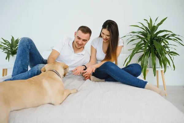 Young couple with a dog at home. Young man and a woman playing at home with dog.