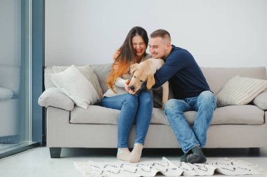 Evde köpeği olan genç bir çift. Genç bir adam ve bir kadın evde köpekle oynuyorlar..