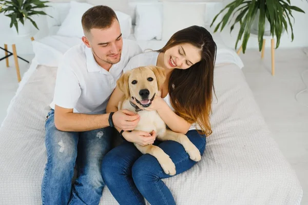 Young couple with a dog at home. Young man and a woman playing at home with dog.