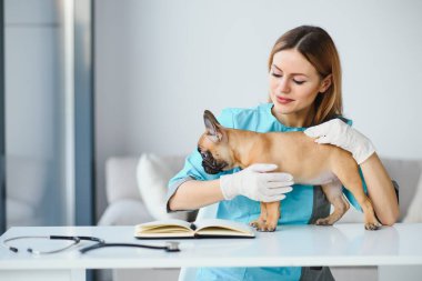 Kendine güvenen bir veteriner kadının portresi hastanede köpeğini muayene ediyor.