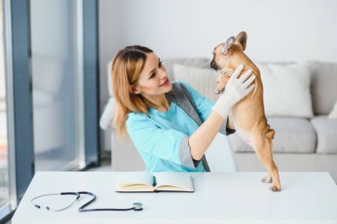 Güzel bayan veteriner klinikte köpeğini muayene ediyor.