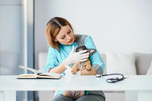 Happy veterinarian doctor hugs puppy in vet clinic. Empty space for text