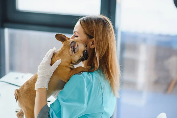 Happy veterinarian doctor hugs puppy in vet clinic. Empty space for text