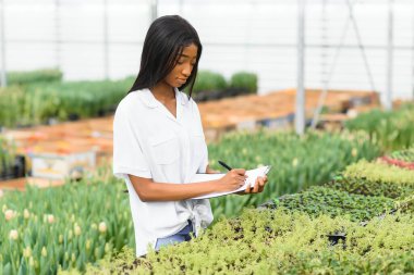 Tarım yönetimi. Gülümseyen Afrikalı Amerikalı kız, seradaki, yan manzaradaki, serbest alandaki çiçeklerin fotoğrafını çekiyor.