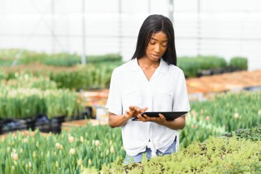 Akıllı tarım sistemi için icat teknolojisi. Gülümseyen Afrikalı Amerikalı kız elinde tabletle serada çiçekleri kontrol ediyor.