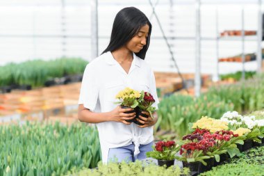 Güzel, gülümseyen Afro-Amerikan kızı, serada çiçeklerle çalışan bir işçi. Serada çalışmak, çiçekler....