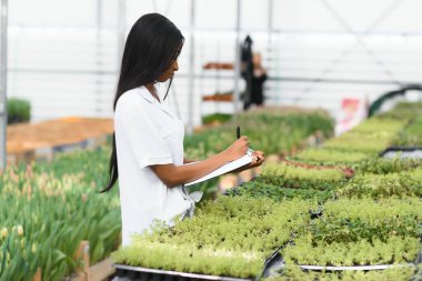 Güzel, gülümseyen Afro-Amerikan kızı, serada çiçeklerle çalışan bir işçi. Serada çalışmak, çiçekler....