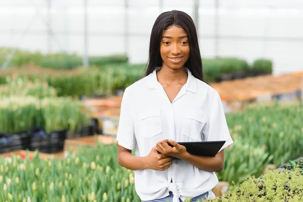 Innovation technology for smart farm system. Smiling african american girl checks flowers in greenhouse with tablet in her hands, sun flare