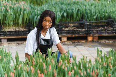 Tarım yönetimi. Gülümseyen Afrikalı Amerikalı kız, seradaki, yan manzaradaki, serbest alandaki çiçeklerin fotoğrafını çekiyor.
