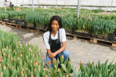 Güzel, gülümseyen Afro-Amerikan kızı, serada çiçeklerle çalışan bir işçi. Serada çalışmak, çiçekler....