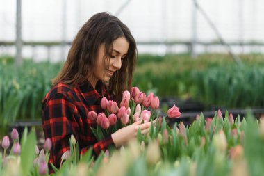 Güzel, genç, gülümseyen bir kız, serada çiçekli bir işçi. Serada çalışmak, çiçekler....