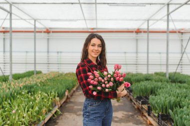 Güzel, genç, gülümseyen bir kız, serada çiçekli bir işçi. Serada çalışmak, çiçekler....